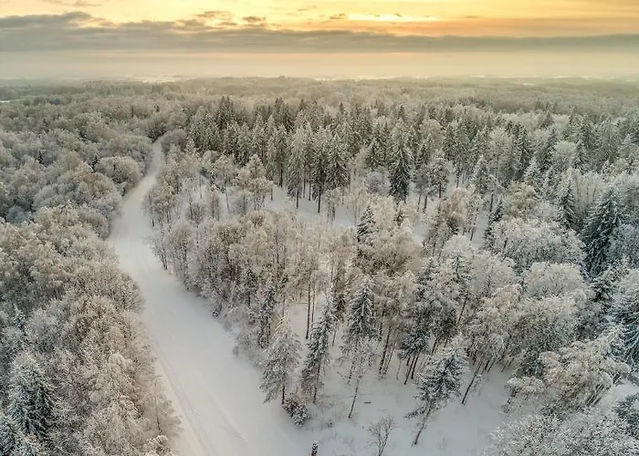 Kaeaeriku Team Otepää